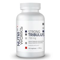 Tribulus Terrestris 750 mg 120 kapslí